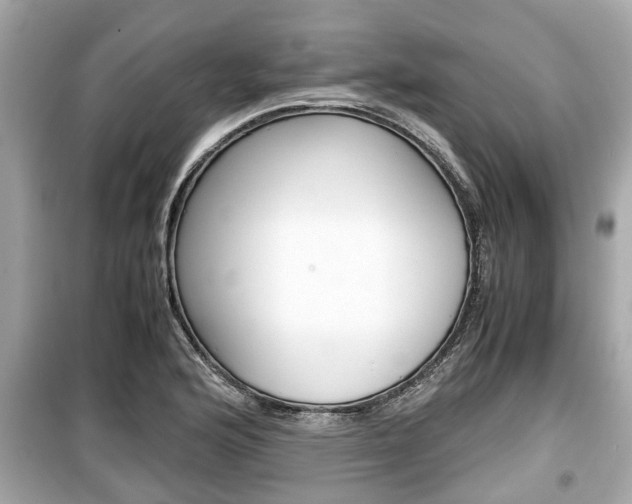 X0000099551176200805160719