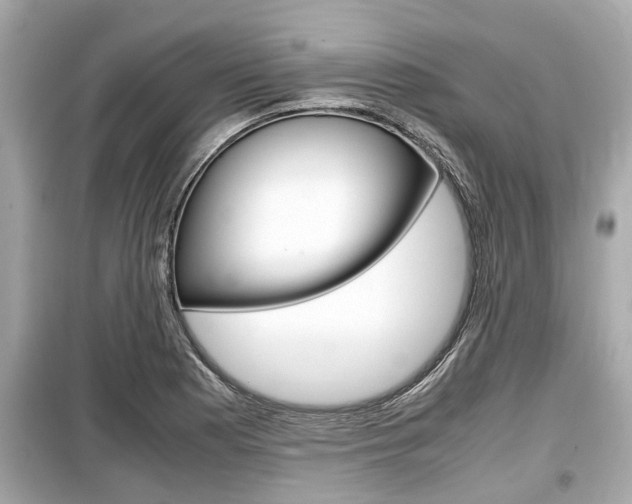 X0000099551177200805160719