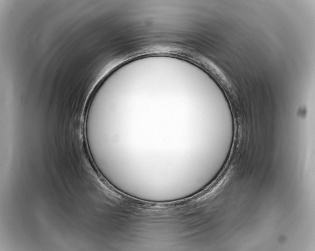 X0000099551178200805160719