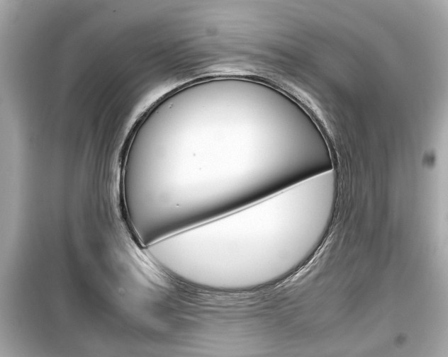 X0000099551179200805160719
