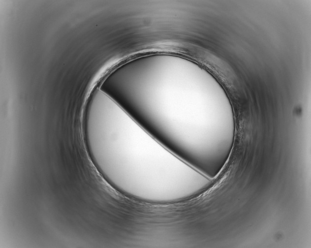 X0000099551180200805160719