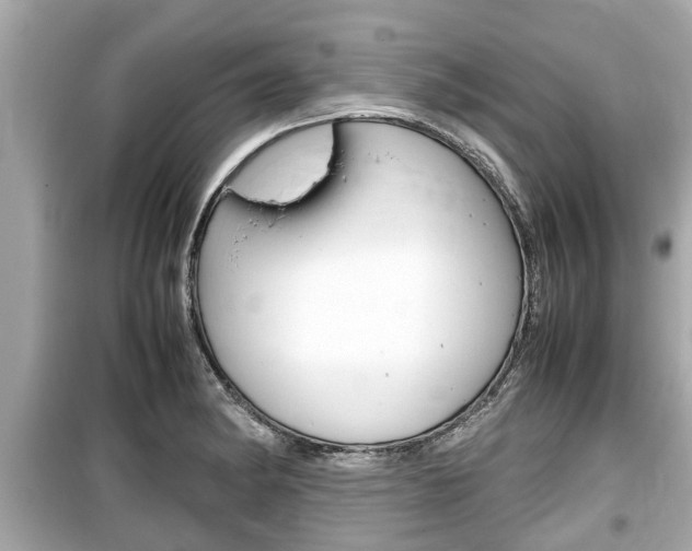 X0000099551182200805160719