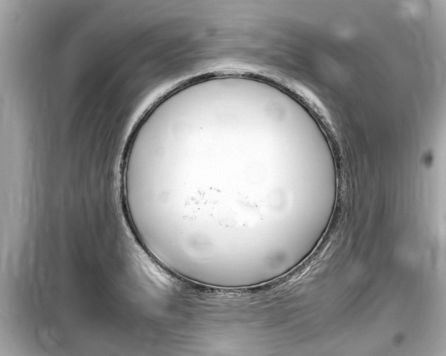 X0000099551183200805160719