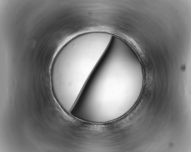 X0000099551184200805160719
