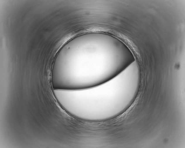 X0000099551185200805160719