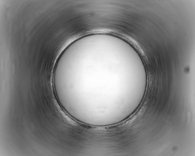 X0000099551186200805160719