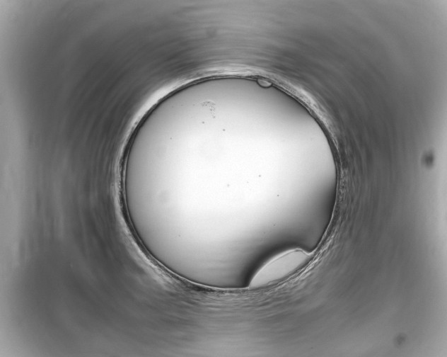 X0000099551187200805160719