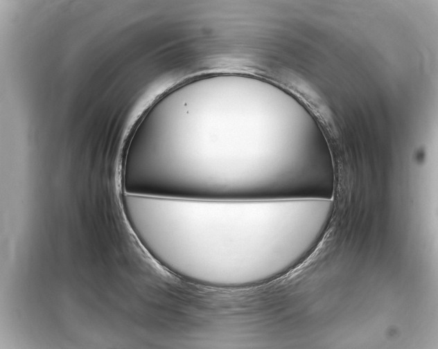 X0000099551188200805160719