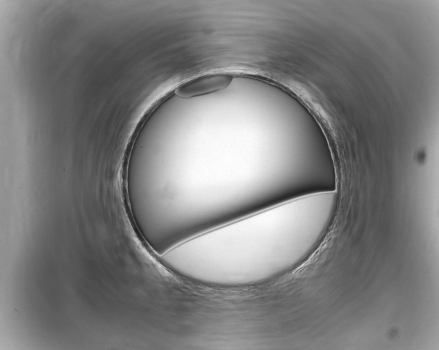X0000099551189200805160719