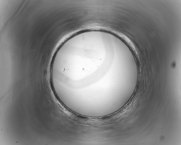 X0000099551191200805160719