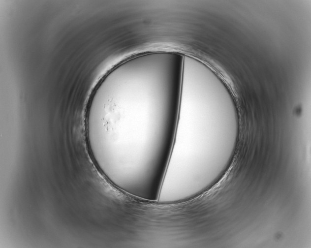 X0000099551192200805160719
