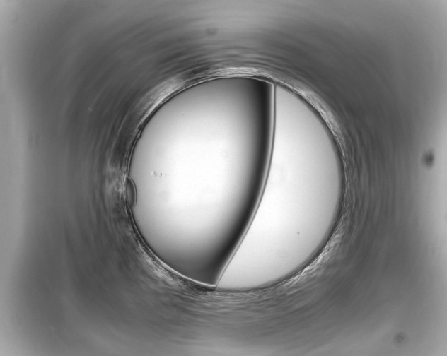 X0000099551193200805160719