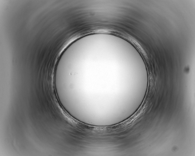X0000099551194200805160719