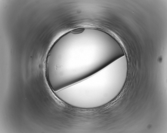 X0000099551195200805160719