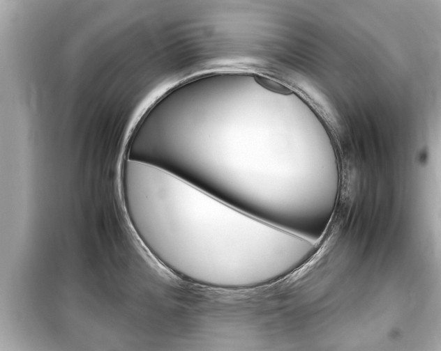 X0000099551196200805160719