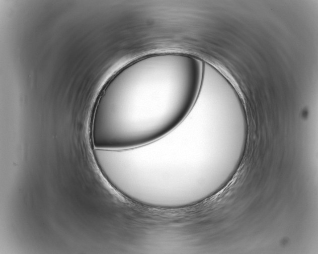 X0000099551197200805160719