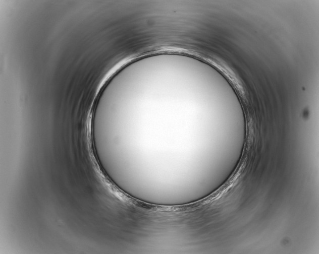 X0000099551198200805160719