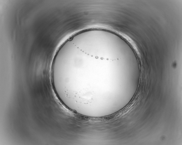 X0000099551199200805160719