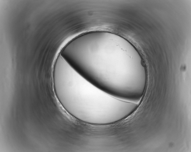 X0000099551200200805160718