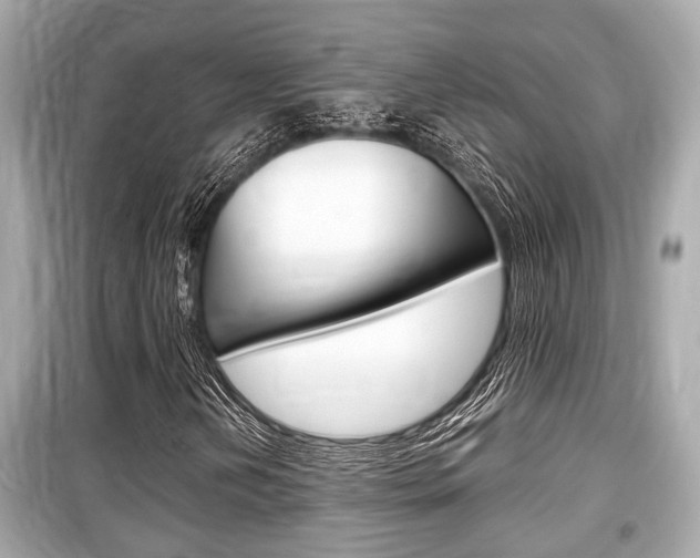 X0000099551202200805160718