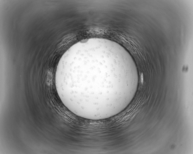 X0000099551203200805160718