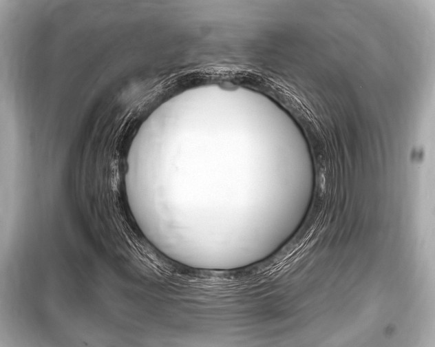 X0000099551204200805160718