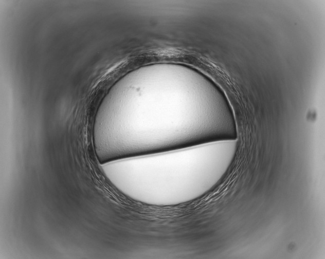 X0000099551205200805160718