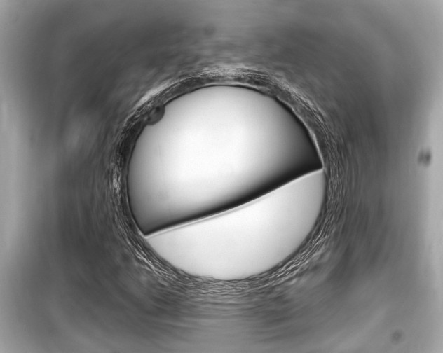 X0000099551206200805160718