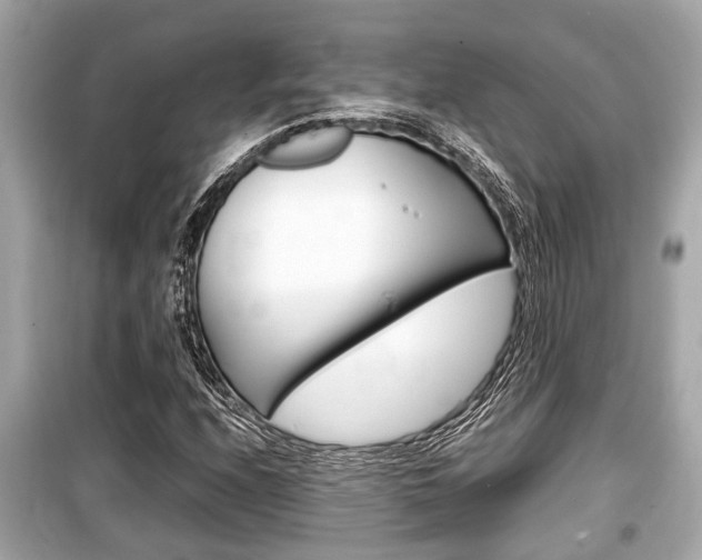 X0000099551208200805160718