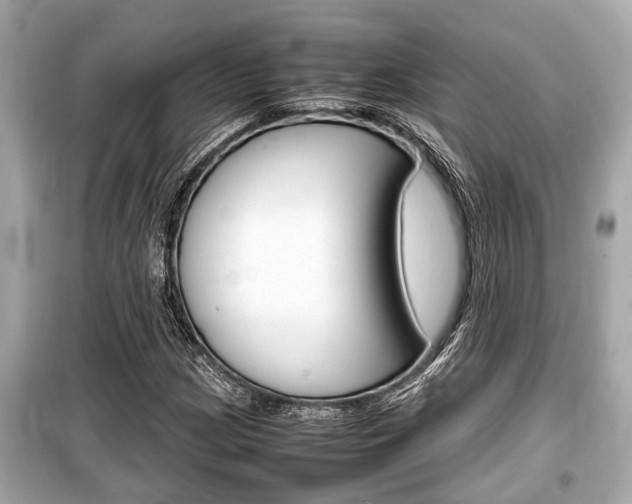X0000099551209200805160718