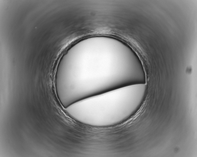 X0000099551212200805160718