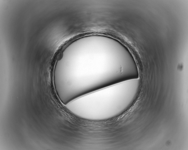 X0000099551214200805160718