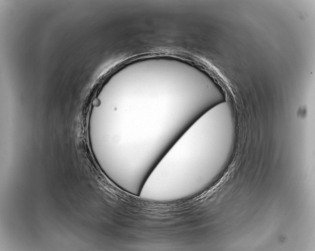 X0000099551215200805160718