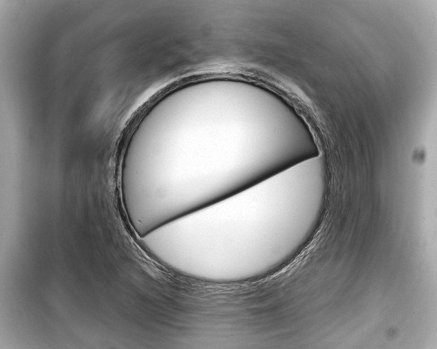 X0000099551216200805160718
