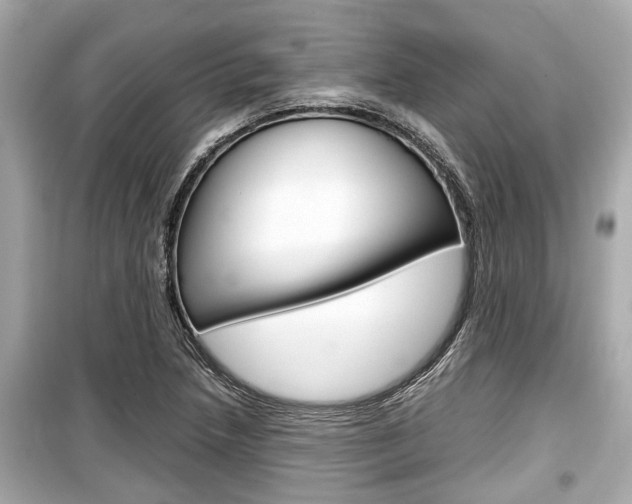 X0000099551218200805160718