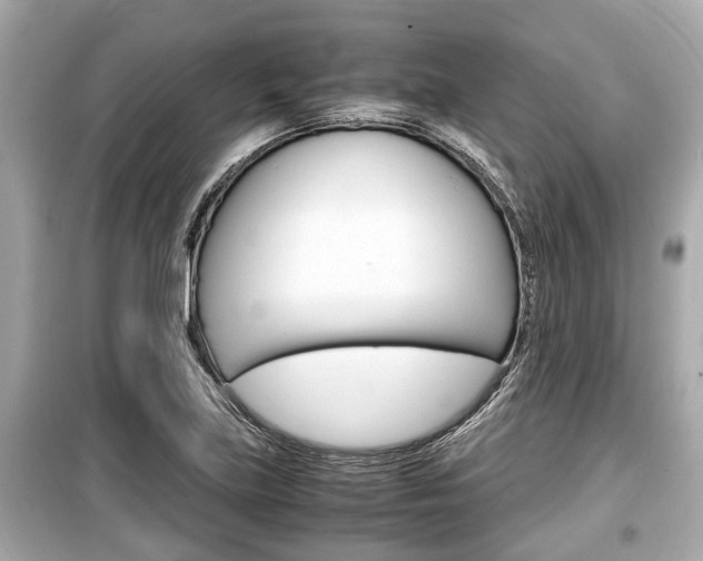 X0000099551219200805160718