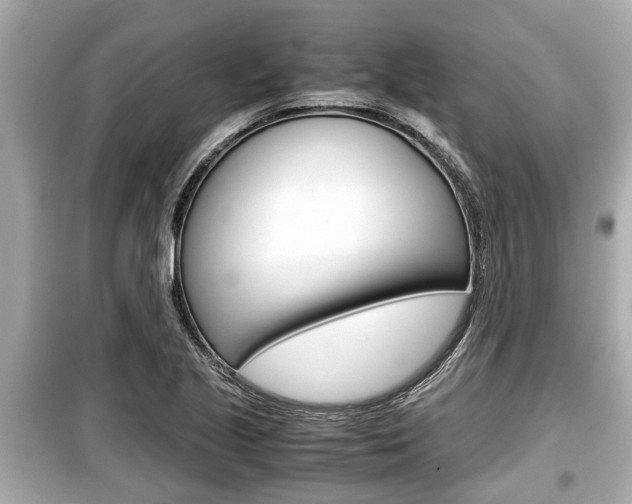 X0000099551221200805160718