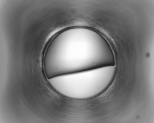 X0000099551222200805160718