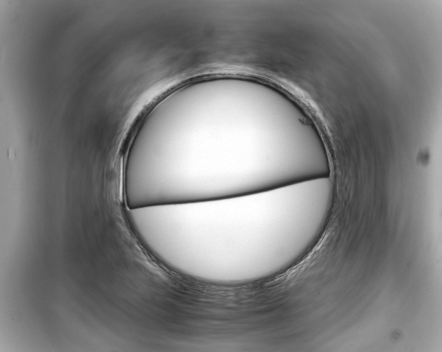 X0000099551223200805160718