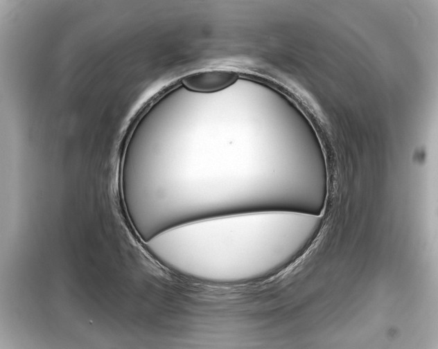 X0000099551224200805160718