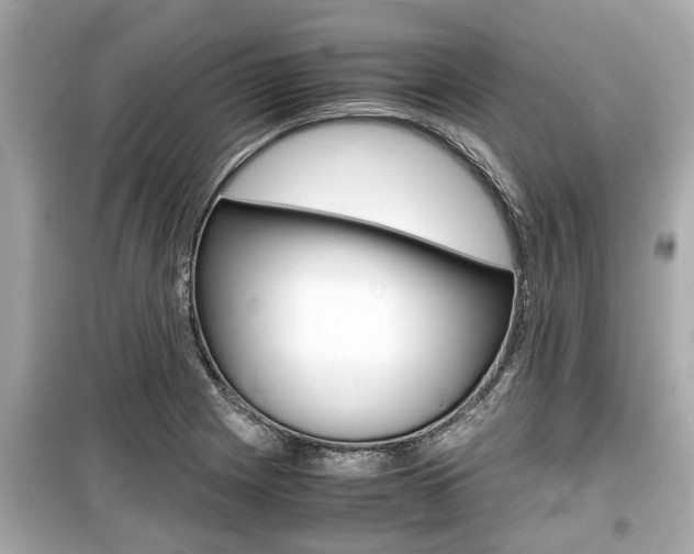 X0000099551225200805160718