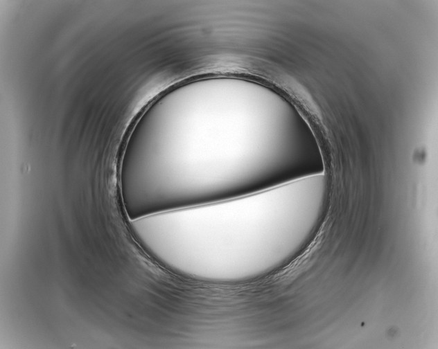 X0000099551226200805160718