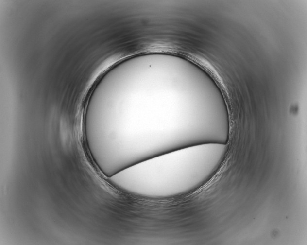 X0000099551227200805160718