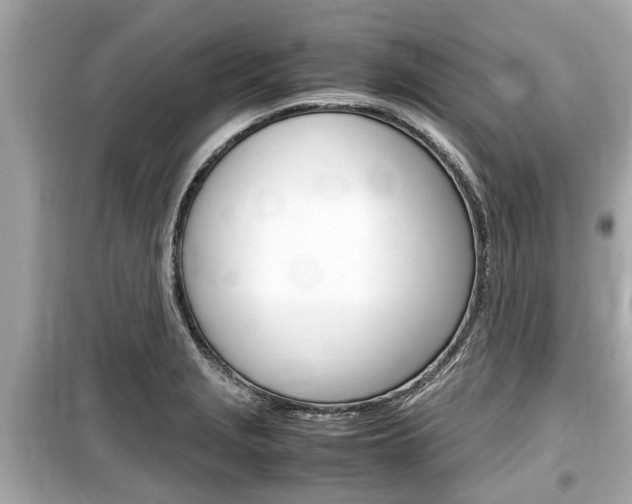 X0000099551229200805160718