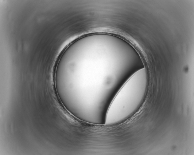 X0000099551230200805160718