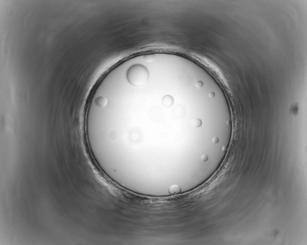 X0000099551231200805160718