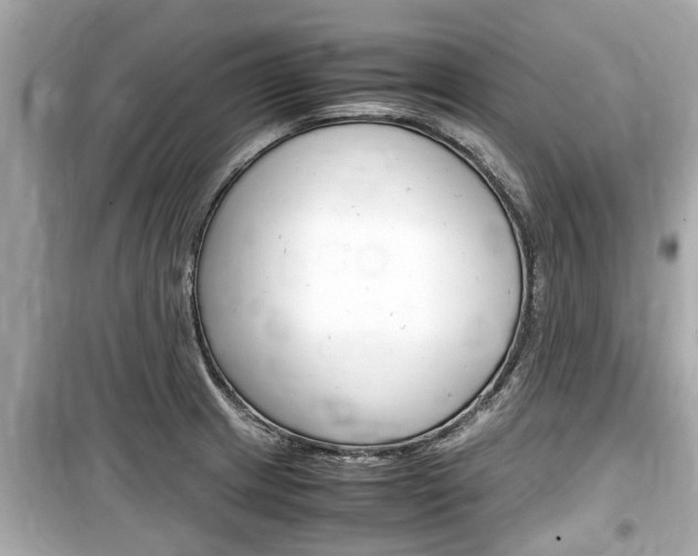 X0000099551233200805160718