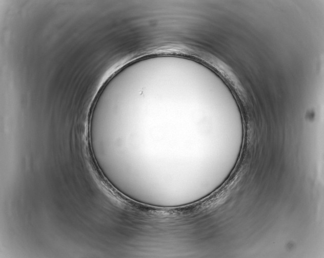 X0000099551234200805160718
