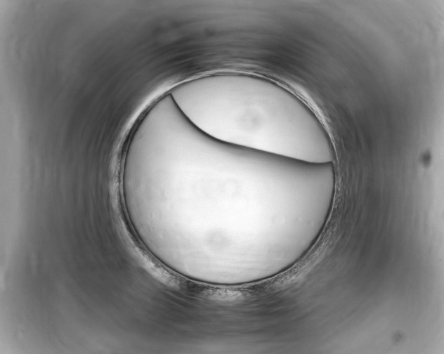 X0000099551235200805160718