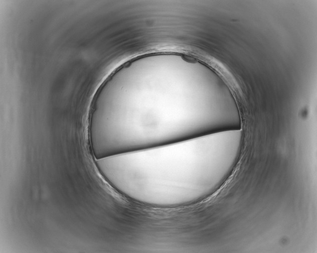 X0000099551236200805160718